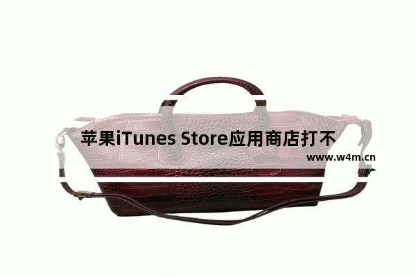 苹果iTunes Store应用商店打不开怎么办