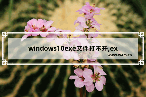 windows10exe文件打不开,exe文件电脑怎么打开win10