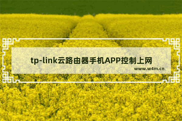 tp-link云路由器手机APP控制上网权限