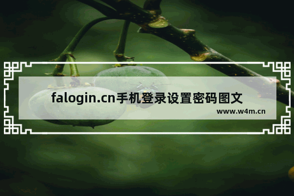 falogin.cn手机登录设置密码图文教程