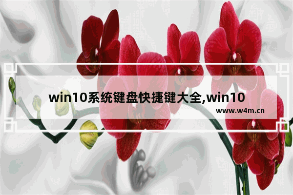 win10系统键盘快捷键大全,win10快捷键盘操作