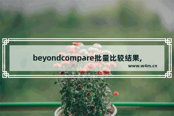 beyondcompare批量比较结果,beyond compare怎么导出比较结果