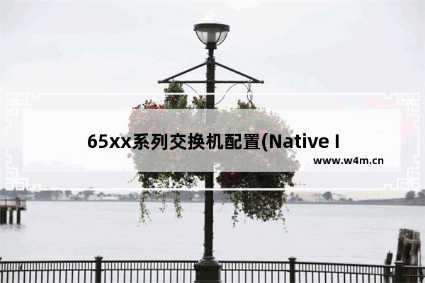 65xx系列交换机配置(Native IOS)(10)