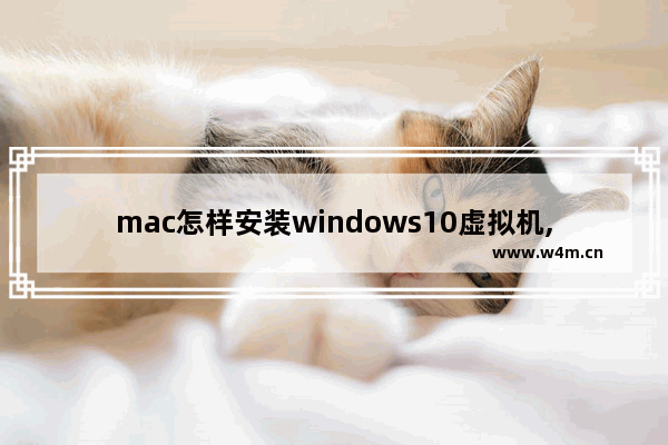 mac怎样安装windows10虚拟机,苹果系统怎么安装虚拟机win10