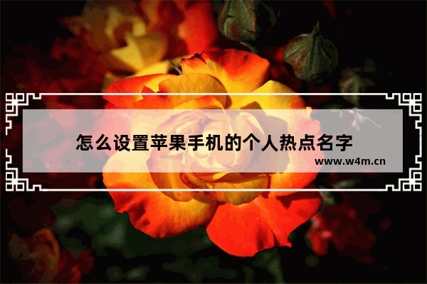 怎么设置苹果手机的个人热点名字