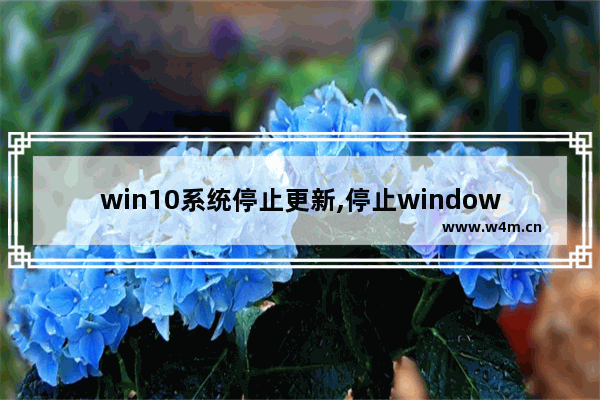 win10系统停止更新,停止windows系统更新