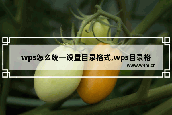 wps怎么统一设置目录格式,wps目录格式编辑