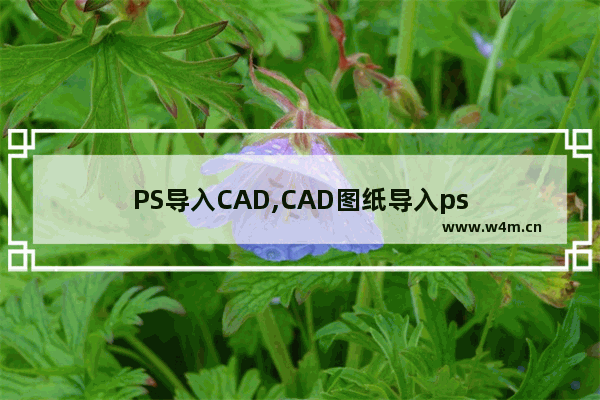 PS导入CAD,CAD图纸导入ps