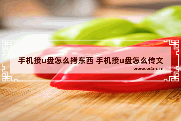 手机接u盘怎么拷东西 手机接u盘怎么传文件