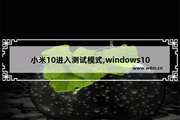 小米10进入测试模式,windows10怎么进入测试模式