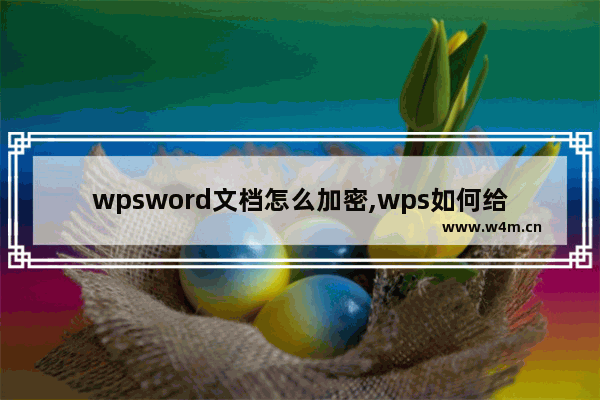 wpsword文档怎么加密,wps如何给word文档加密