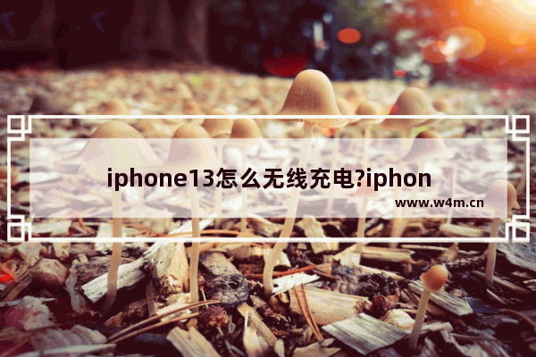 iphone13怎么无线充电?iphone13无线充电方法