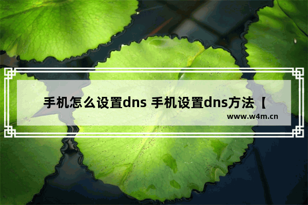 手机怎么设置dns 手机设置dns方法【详解】