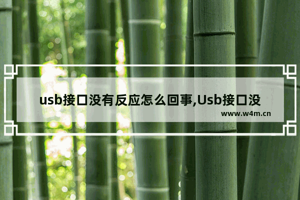 usb接口没有反应怎么回事,Usb接口没反应