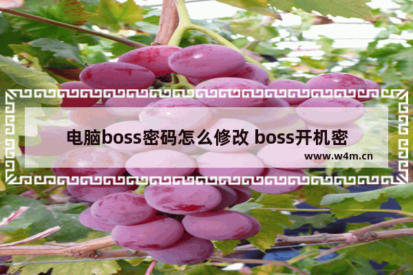 电脑boss密码怎么修改 boss开机密码