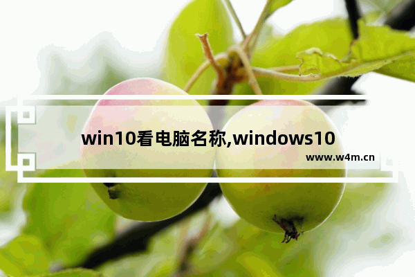 win10看电脑名称,windows10怎么查看电脑名称