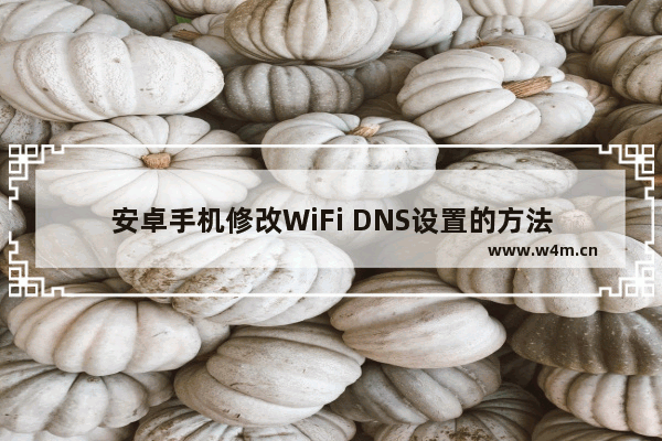 安卓手机修改WiFi DNS设置的方法