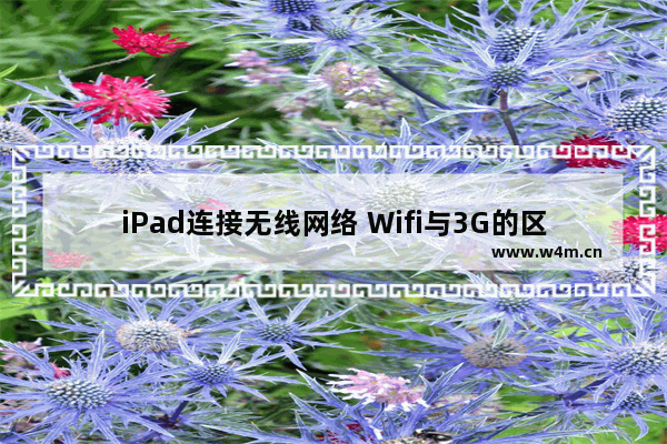 iPad连接无线网络 Wifi与3G的区别