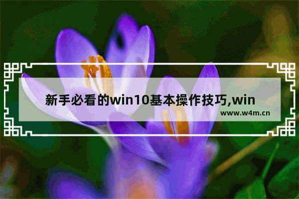 新手必看的win10基本操作技巧,window10有哪些操作技巧