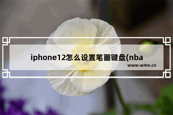 iphone12怎么设置笔画键盘(nba2k12键盘操作技巧)