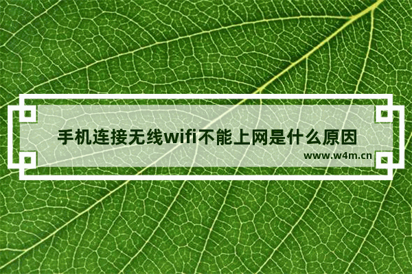 手机连接无线wifi不能上网是什么原因