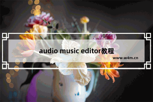 audio music editor教程,audio editor背景音