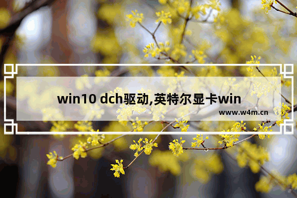 win10 dch驱动,英特尔显卡win10dch驱动