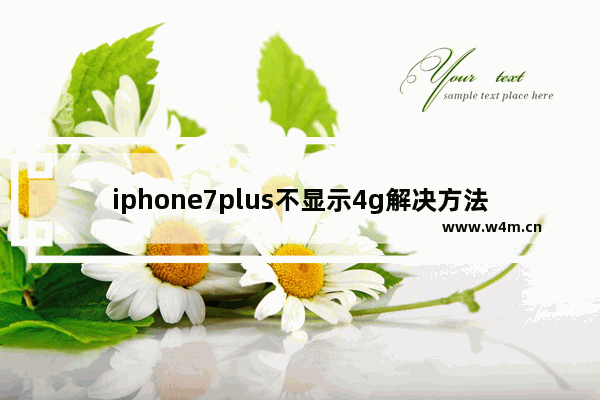 iphone7plus不显示4g解决方法 iphone7plus网络设置教程