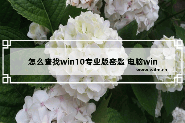 怎么查找win10专业版密匙 电脑win10专业版密钥怎么查