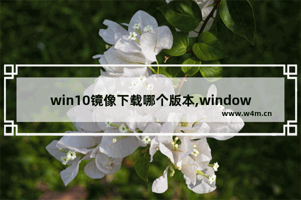 win10镜像下载哪个版本,windows10原版镜像下载