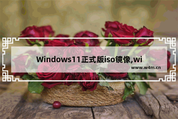 Windows11正式版iso镜像,win10镜像ISO