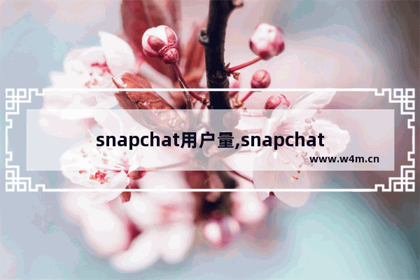 snapchat用户量,snapchat有风险吗