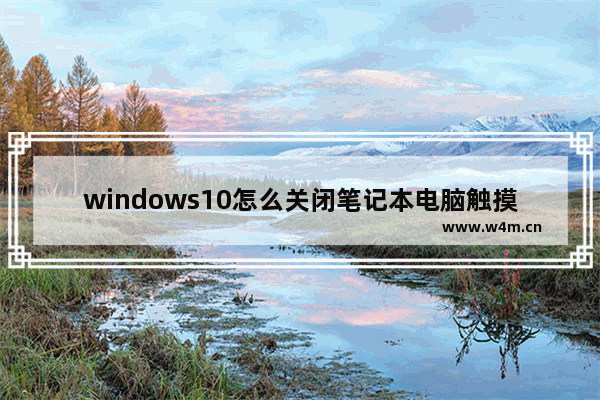 windows10怎么关闭笔记本电脑触摸板,笔记本win10触摸板无法关闭