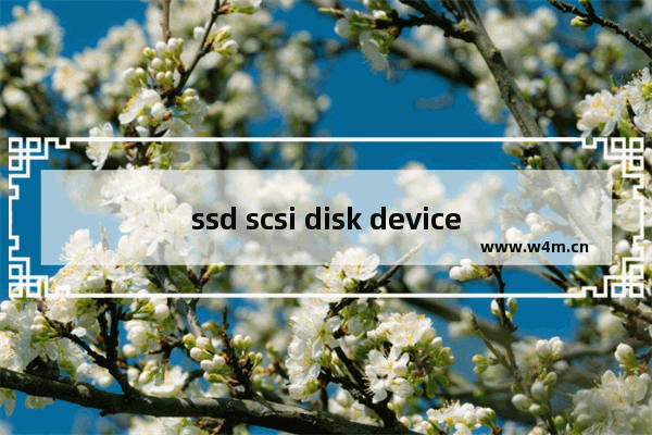 ssd scsi disk device,