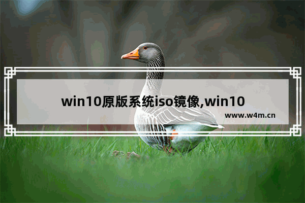 win10原版系统iso镜像,win10镜像文件iso下载