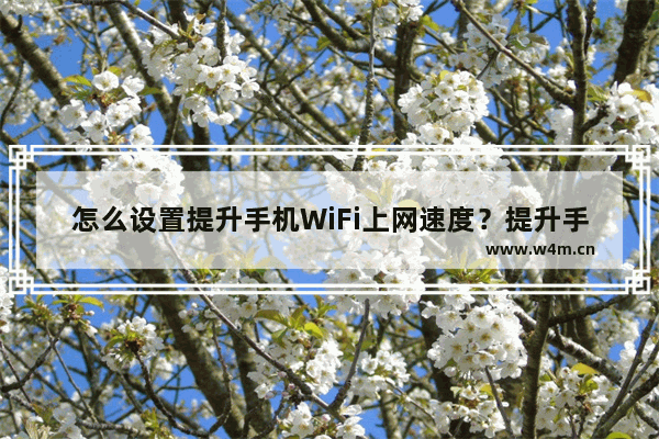 怎么设置提升手机WiFi上网速度？提升手机Wifi上网速度方法说明