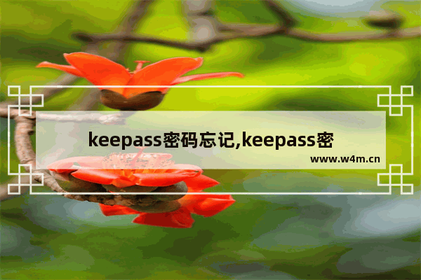 keepass密码忘记,keepass密钥文件