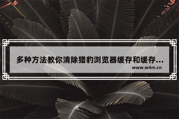 多种方法教你清除猎豹浏览器缓存和缓存,猎豹浏览器如何清除缓存