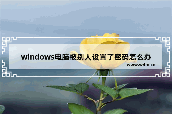 windows电脑被别人设置了密码怎么办,windows10用别人的密钥