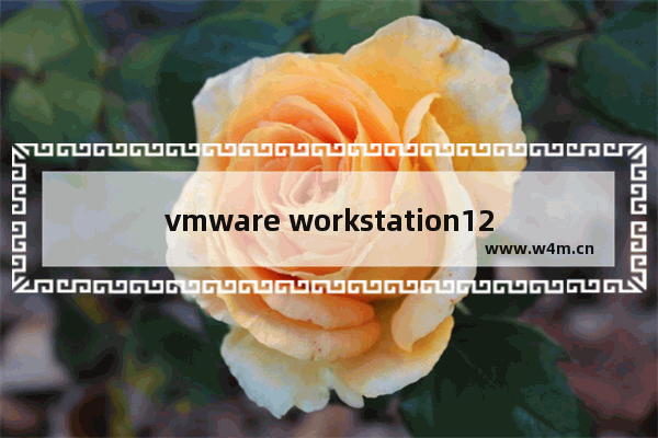 vmware workstation12许可证密钥,vmware workstation14 密钥