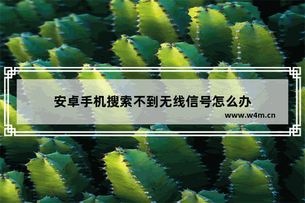 安卓手机搜索不到无线信号怎么办