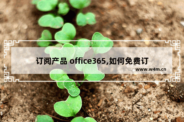 订阅产品 office365,如何免费订阅office365