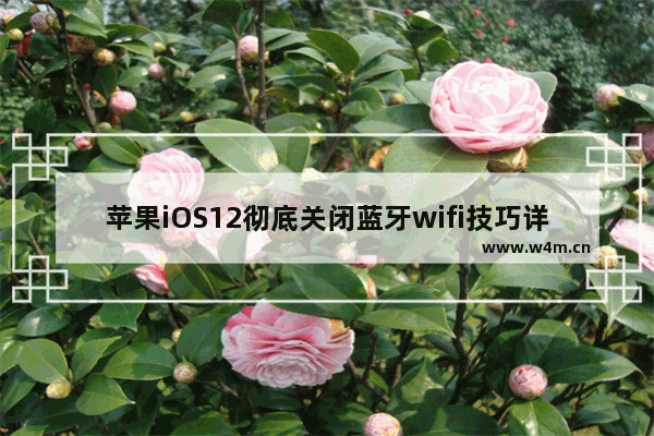 苹果iOS12彻底关闭蓝牙wifi技巧详解