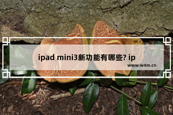 ipad mini3新功能有哪些? ipad mini3 新增功能介绍