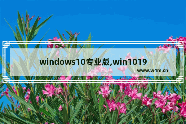 windows10专业版,win101903专业版密钥