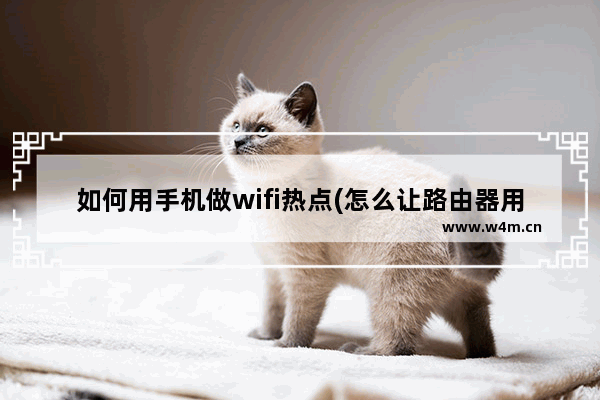 如何用手机做wifi热点(怎么让路由器用手机热点)