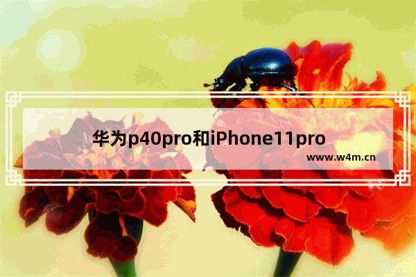 华为p40pro和iPhone11pro哪个好华为p40pro和iPhone11pro的全方位对比评测