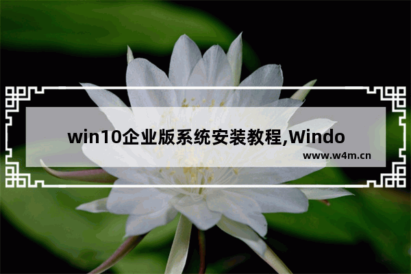 win10企业版系统安装教程,Windows10企业版怎么安装