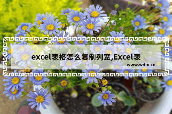 excel表格怎么复制列宽,Excel表格怎么保持列宽列高复制粘贴