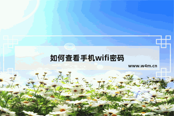 如何查看手机wifi密码